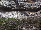 Mud2004 195_.jpg